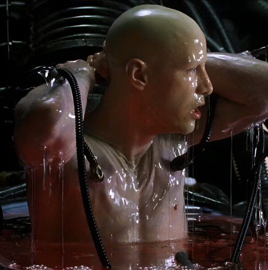 [Сергей Цмокалюк] [TsmokBlog] Целибат (2023)_0.png